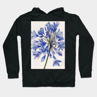 Agapanthus flower watercolour painting Hoodie